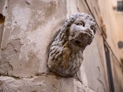 Una testa di leone, probabilmente coeva al bassorilievo delle arpie, spunta dal grigio intonaco del muro sul quale si trova. 